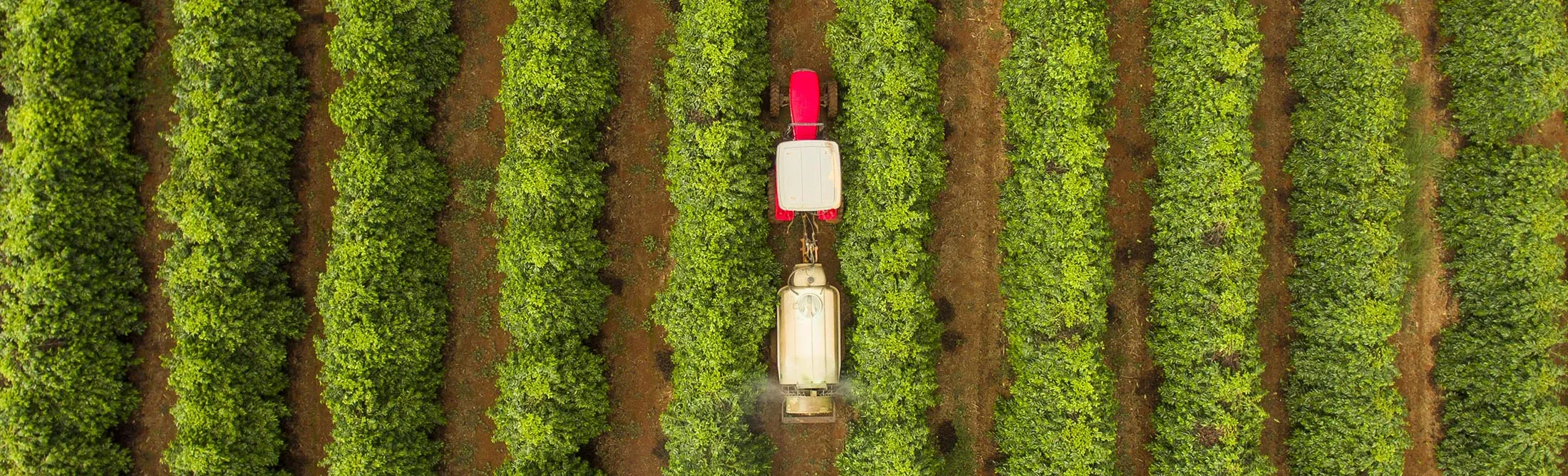 A vehicle sprays&nbsp;agrochemicals at a coffee field&nbsp;in&nbsp;Minas Gerais,&nbsp;Brazil’s top grower state.&nbsp;