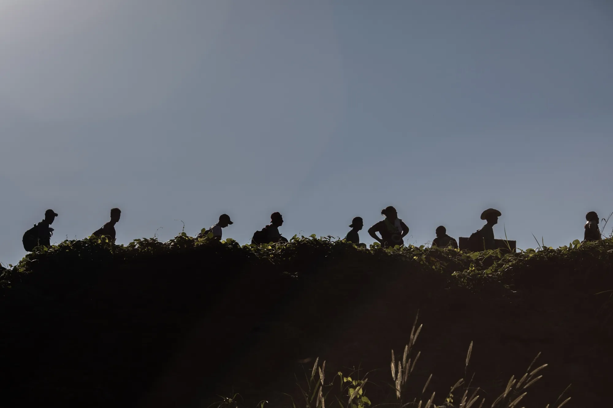 A group of Central American refugees and asylum seekers walk towards town of Huixtla, Chiapas state, Mexico on&nbsp;Oct. 23.