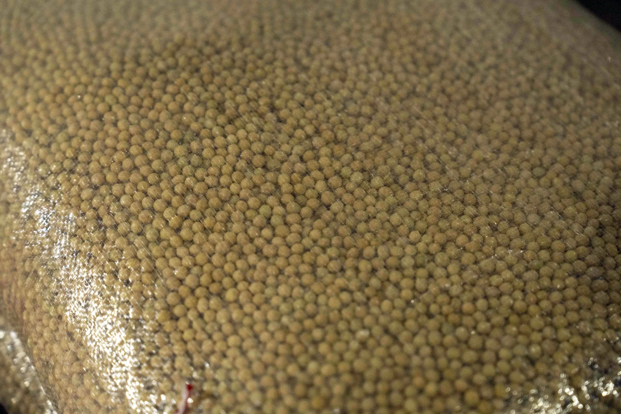 A sack of soybeans at a wholesale grains market in Shanghai, March&nbsp;2025.