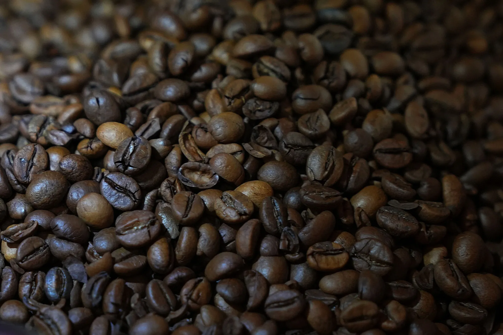 Roasted Arabica coffee beans.
