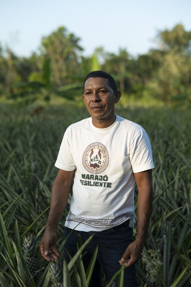 Ronildo Araújo Pacheco stands in his agroforestry plot mixing pineapple and açaí in Salvaterra, Marajó Island.