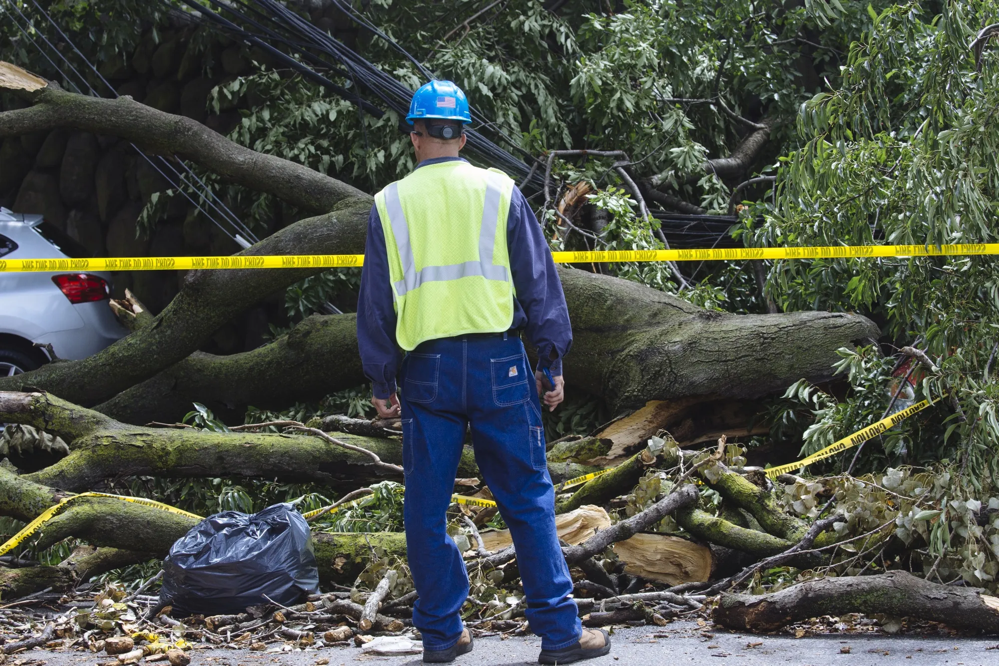 A worker looks at a fallen tree and power lines in Queens, New York, on Aug. 7.