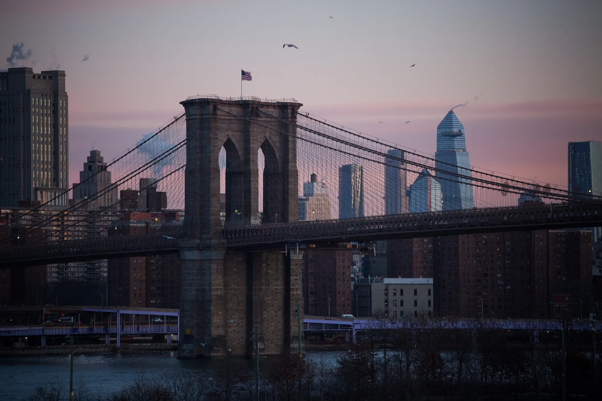 Birds fly over the Brooklyn Bridge in New York.