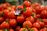 relates to Ex-Goldman Banker's Quest for Fresh Food Turns Into a Hit App