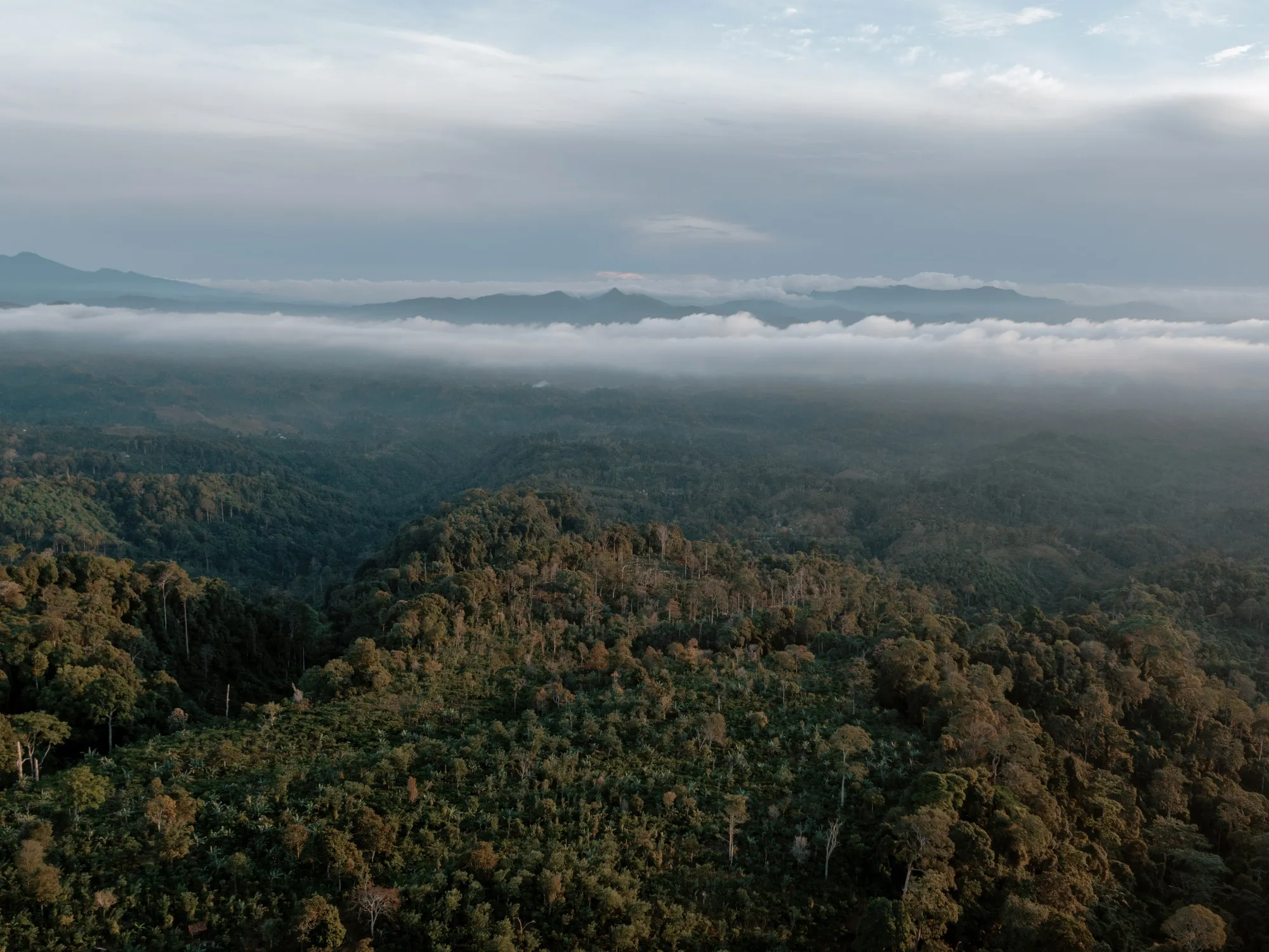 A mountain landscape in the Tanggamus regency of Lampung province, Indonesia. 