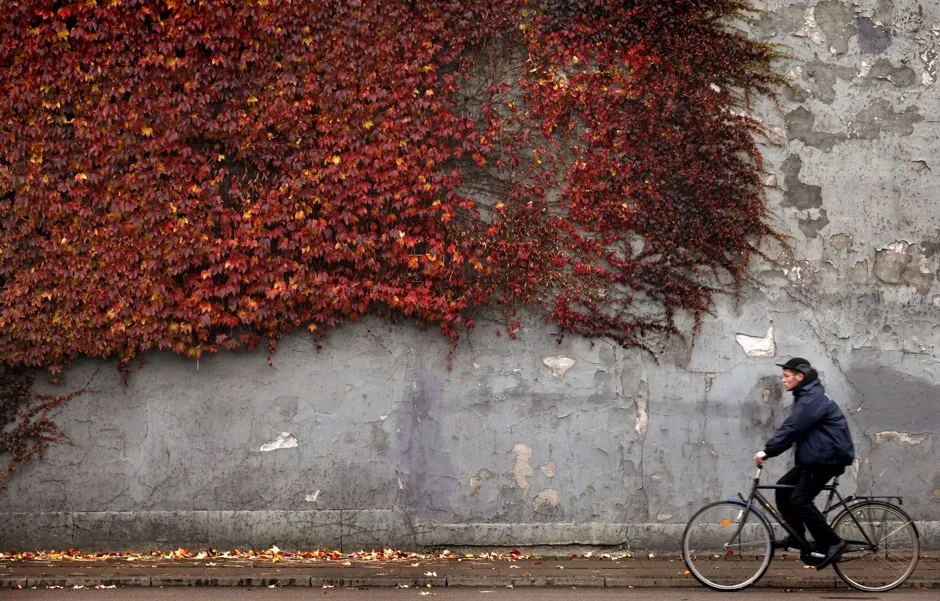 Can more cities be like Copenhagen? 