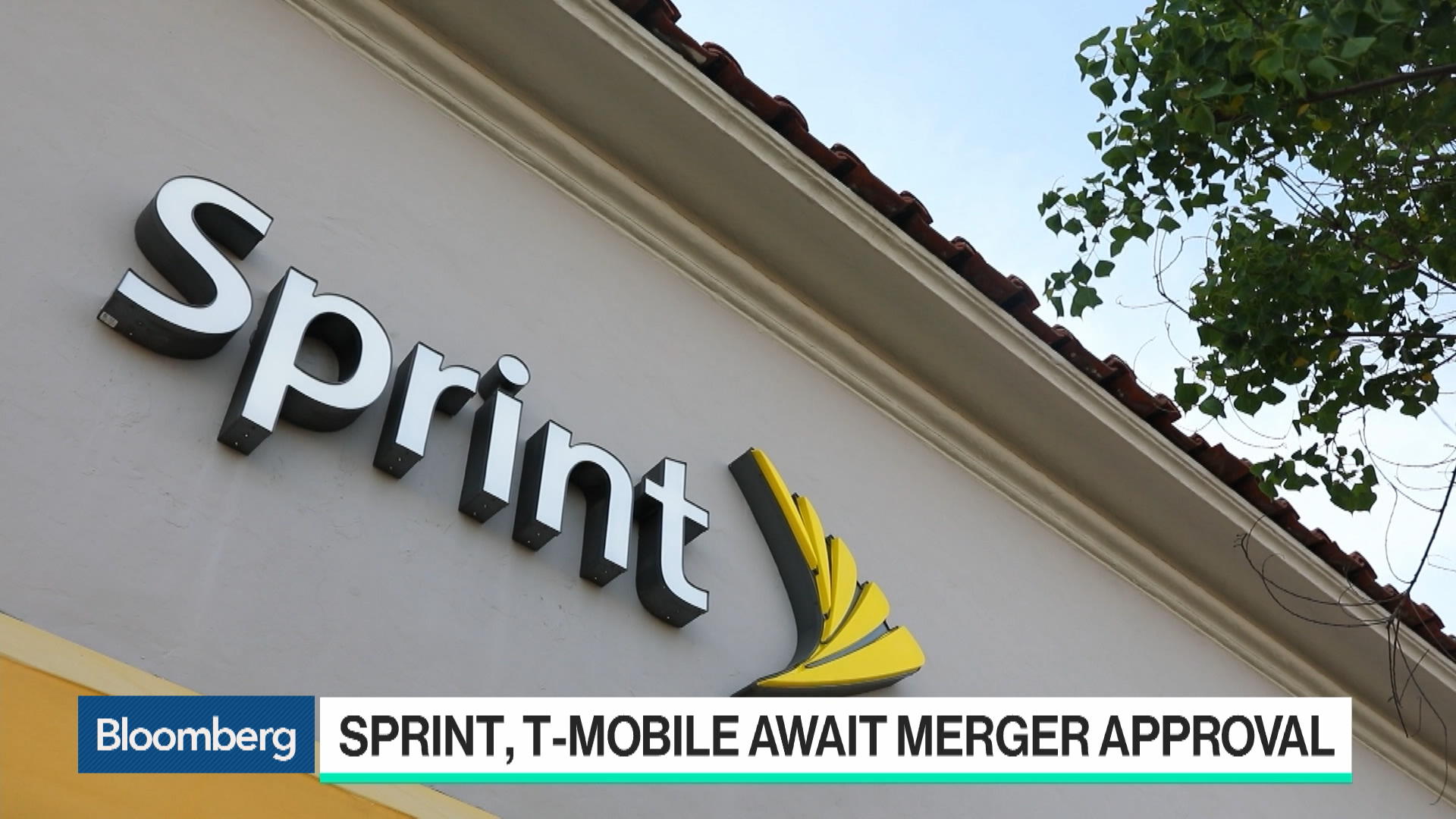 Sprint sector in the stock market