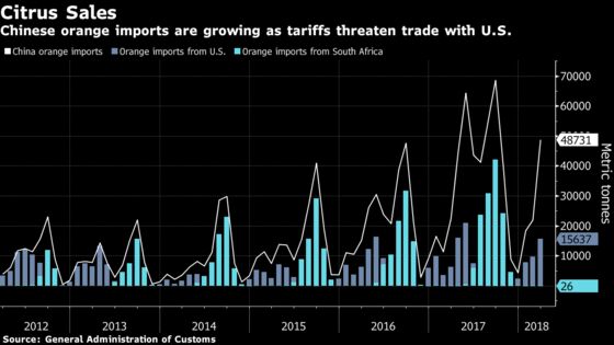 Trump Trade Winds Blow Egypt Oranges to Shanghai Fruit Shops