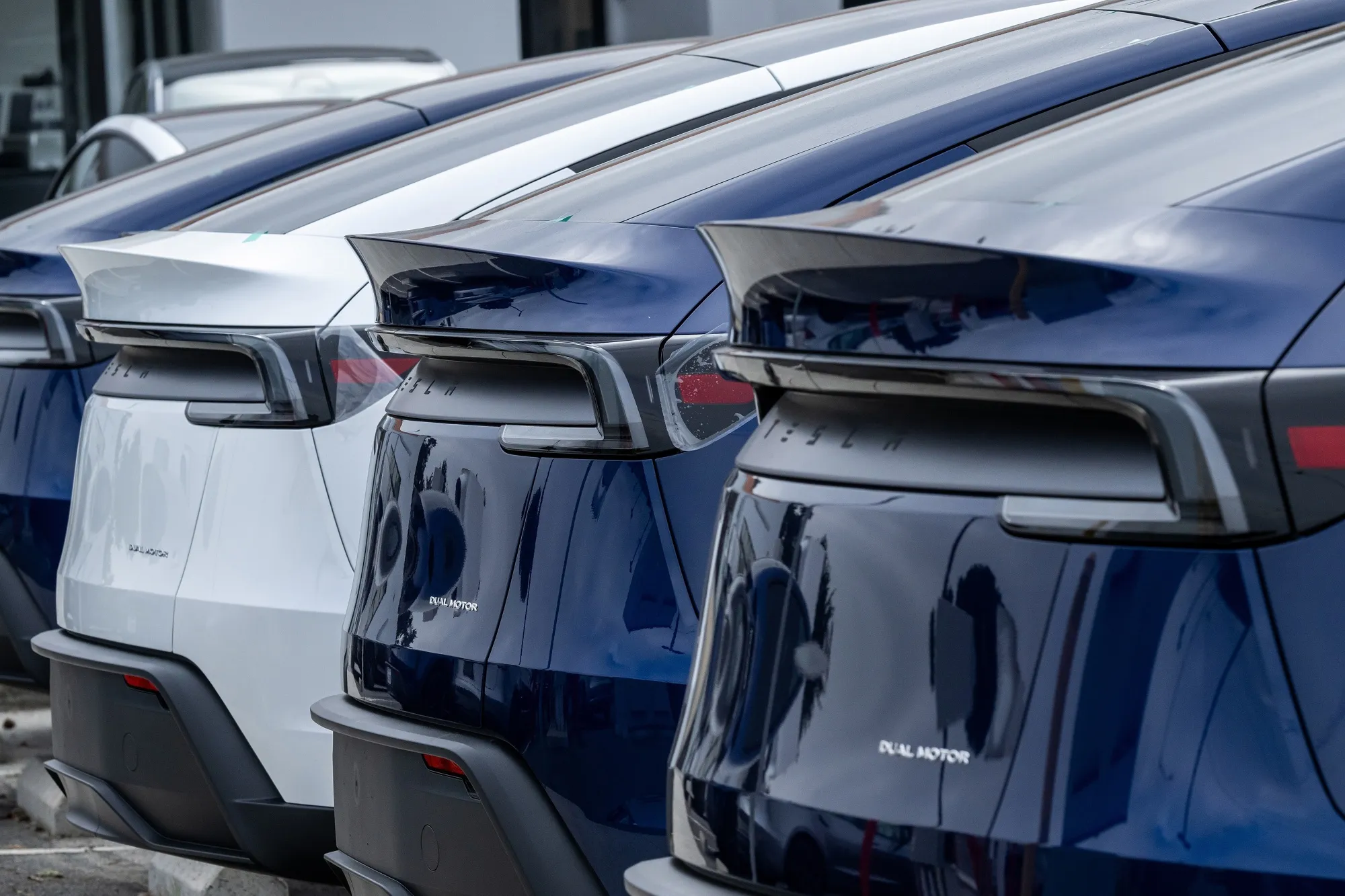 Tesla Model Y vehicles.