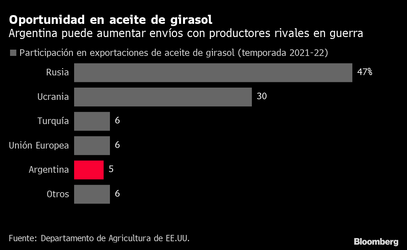 En tiempos de guerra, el girasol se hace más atractivo para los productores  argentinos