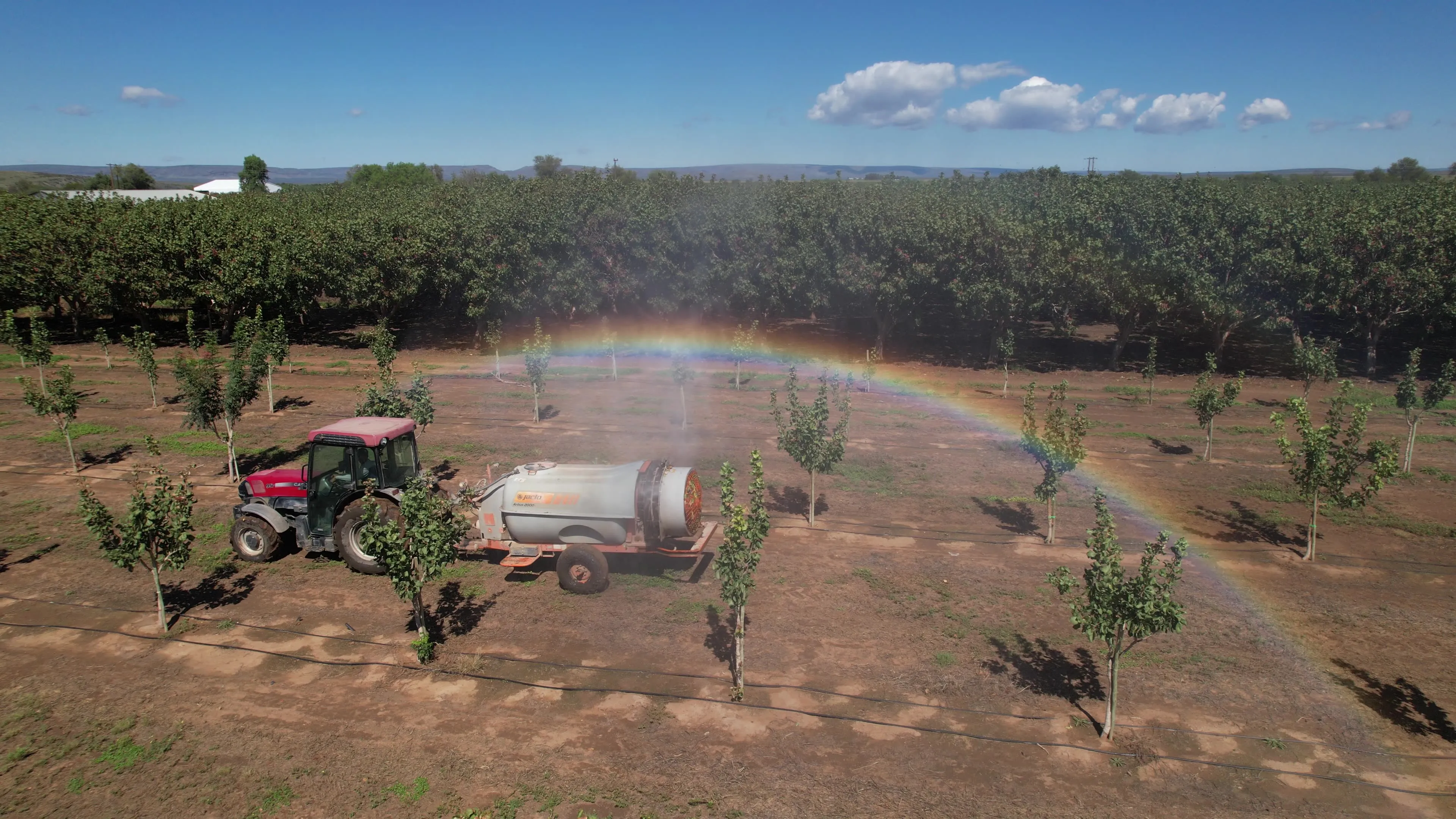 A Karoo Pistachios orchard in Prieska, South Africa’s Northern Cape.