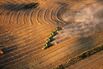 Canada's Corn Belt Attracts the Hot Money