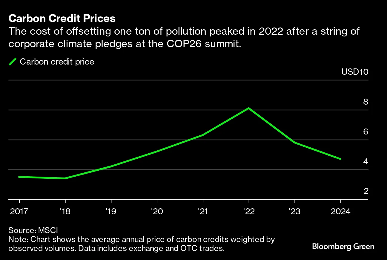 The Carbon Offsets Comeback That Wall Street Has Been Waiting For -  Bloomberg