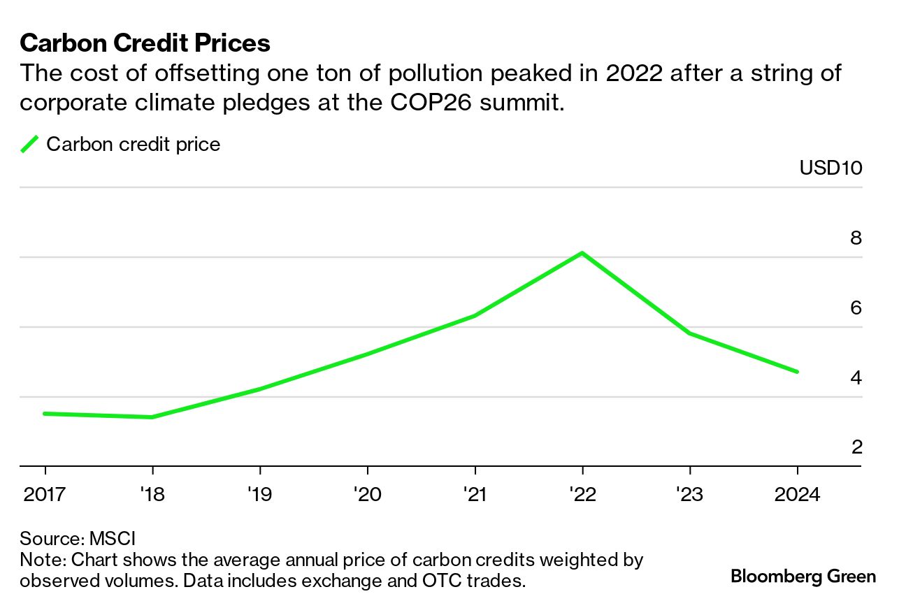 The Carbon Offsets Comeback That Wall Street Has Been Waiting For -  Bloomberg