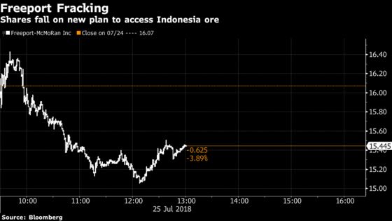 Freeport Falls After Raising Operational Issues at Grasberg Mine