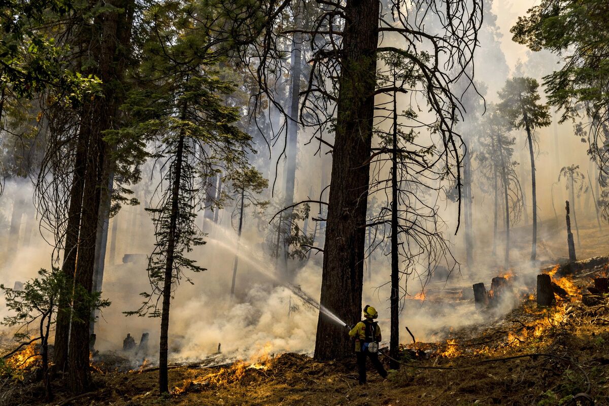 Лесные пожары в Калифорнии 2018