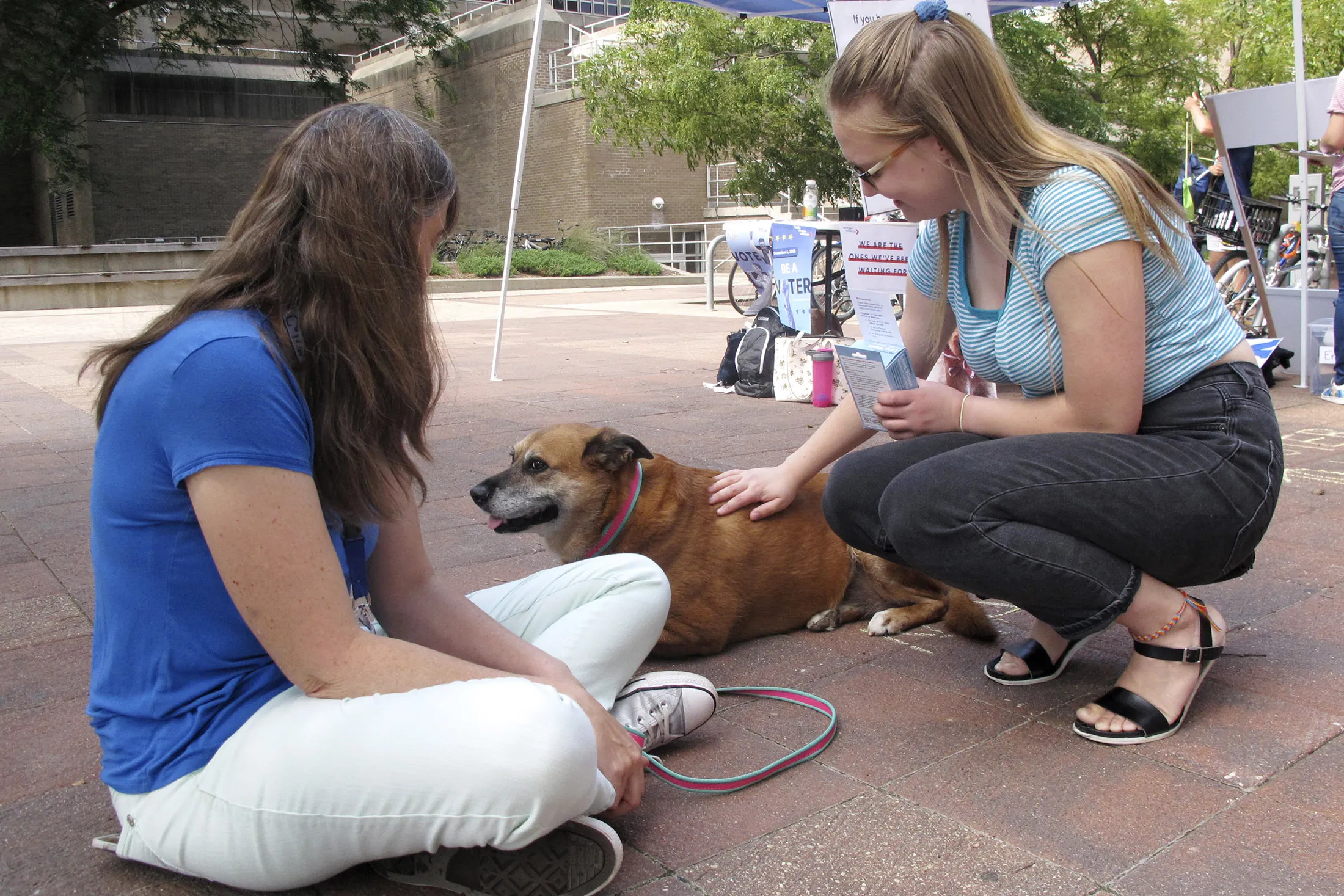 University of Wisconsin student&nbsp;visits with Maggie, a therapy dog, at a NextGen America event to register voters in Madison, Wisconsin.