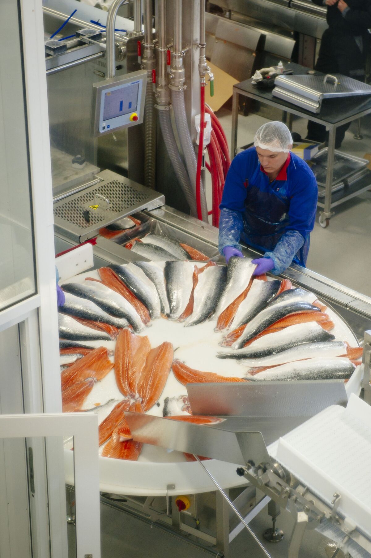 Norway Seafood Export Hits Record As Tax Plan Casts Shadow Bloomberg   1200x1803 