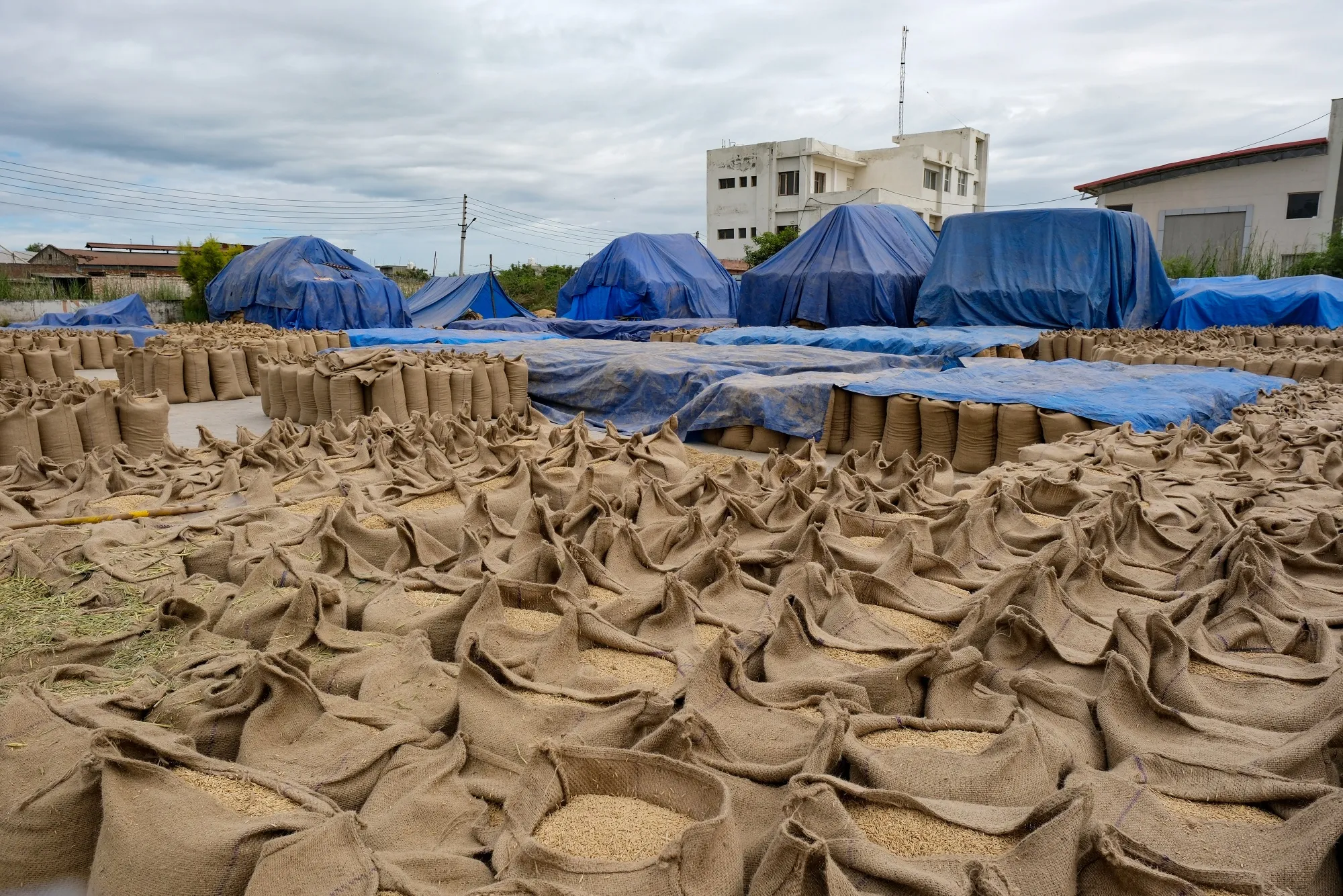 India’s restriction, which applies to shipments of non-basmati white rice, is aimed at controlling domestic prices.&nbsp;