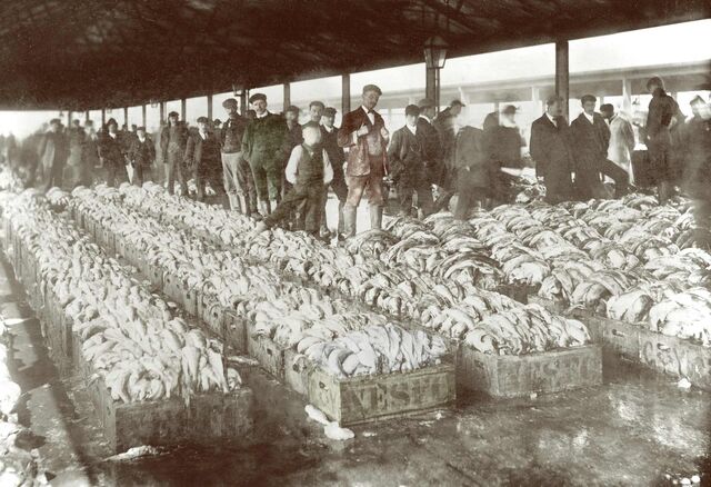 Grimsby, circa 1906.