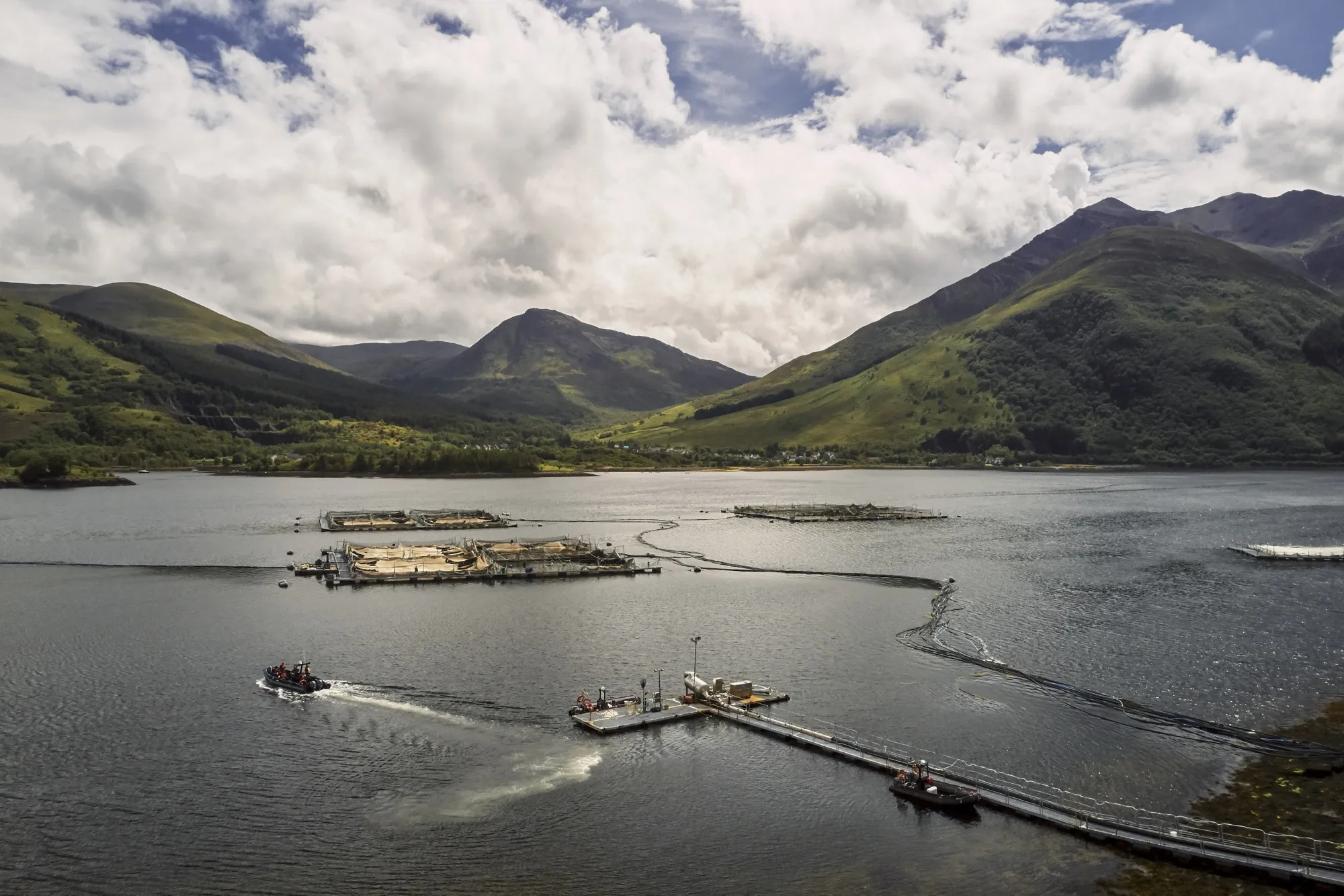 The Loch Leven salmon farm.
