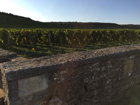 The Romanee Conti vineyard in Burgundy.