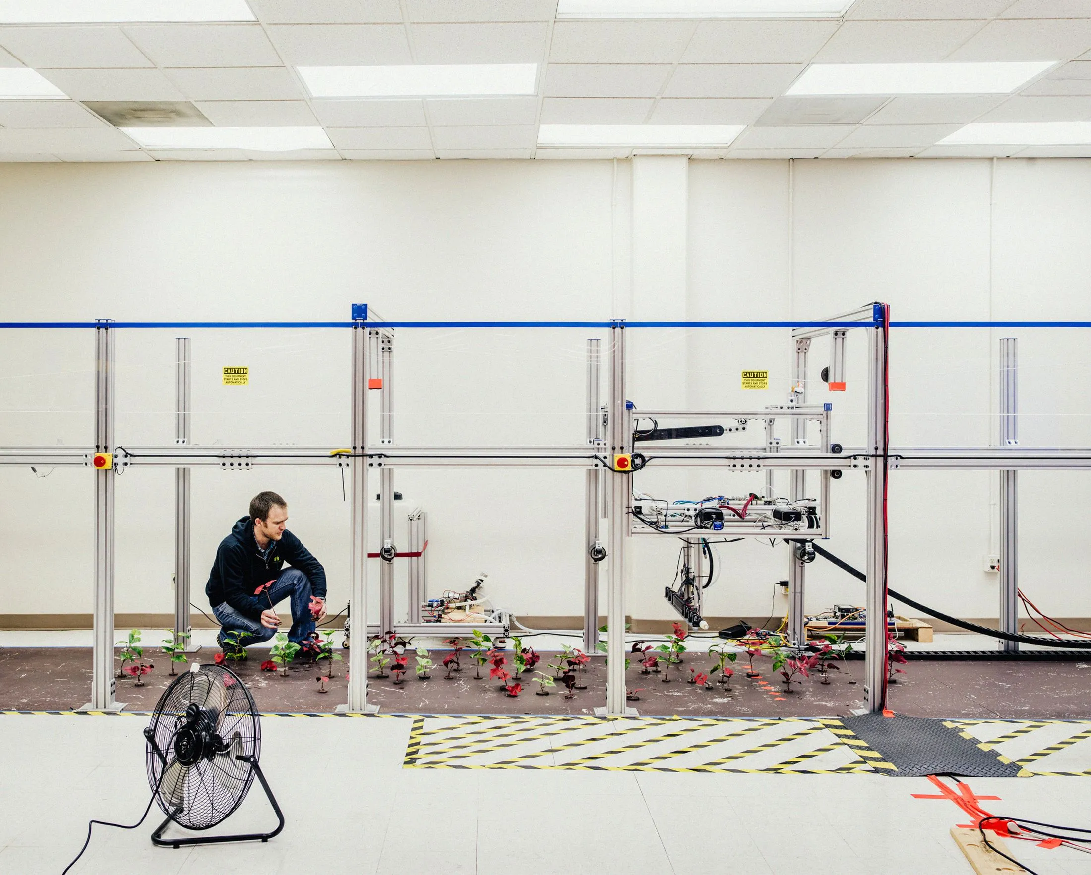 At Blue River Technology headquarters, a prototype learns to distinguish weeds from crops.