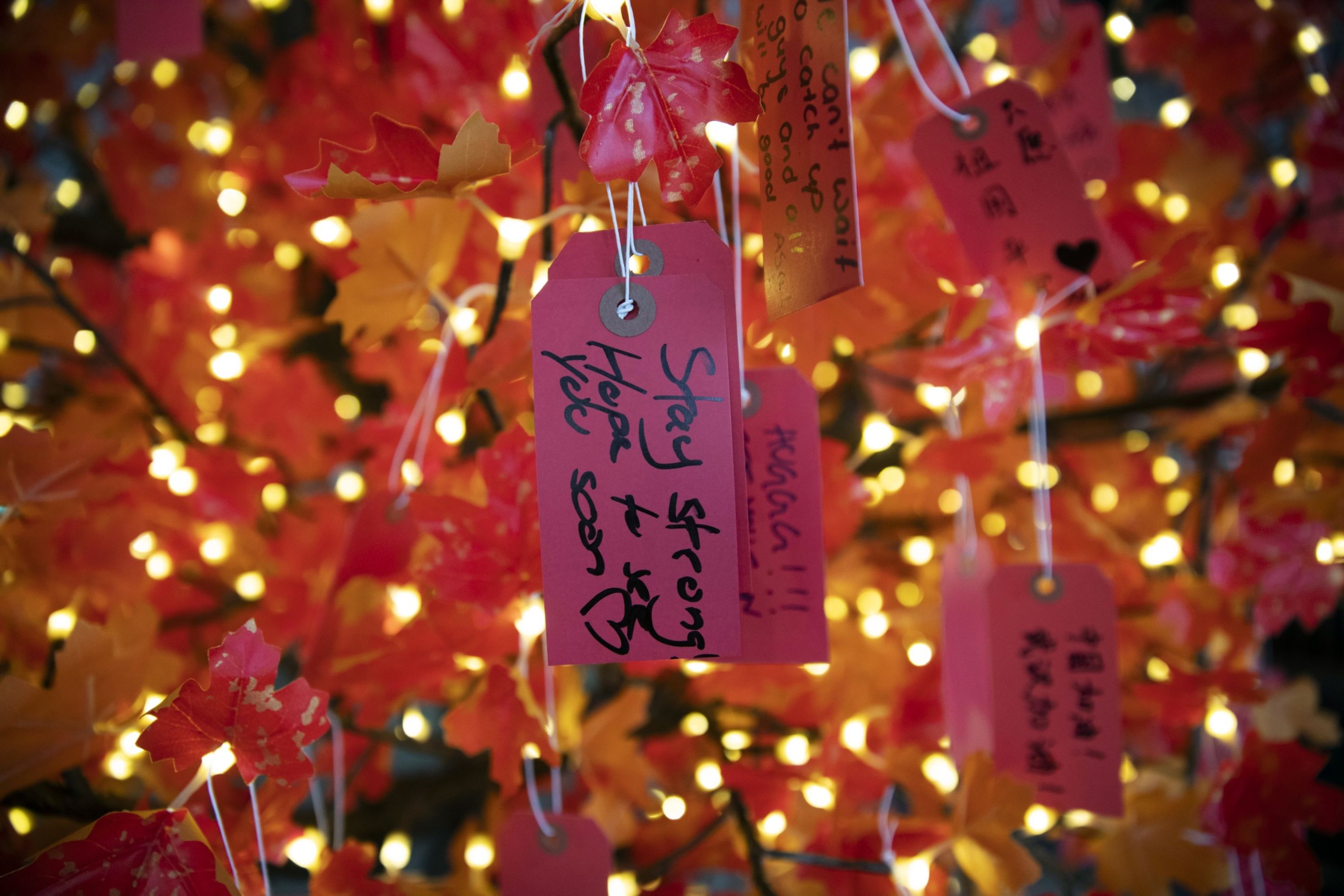 A message on a solidarity tree for Chinese students at the University of Sydney reads “Stay strong! Hope to see you soon.”