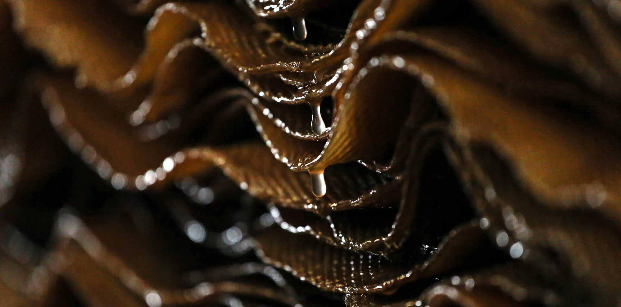Drops of water fall from a pile of rubber sheets after washing process at the Thai Hua Rubber Pcl factory in Samnuktong, Rayong province, Thailand, on Tuesday, October 27, 2015.
