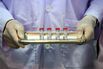 THAILAND-HEALTH-VIRUS-ANIMAL-VACCINE