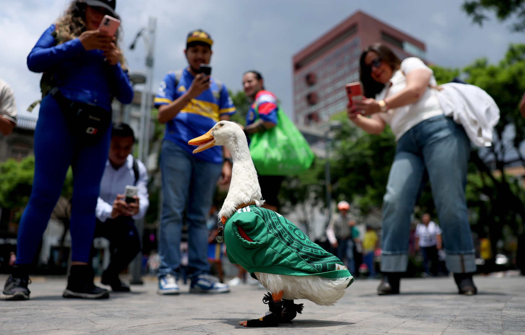 Merlín the duck, dressed in a national team jersey, makes his way around Mexico City on July 16.