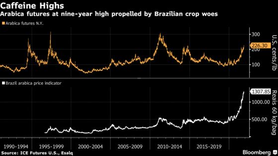 High-End Arabica Coffee at 9-Year High With Supply Risks Worsening