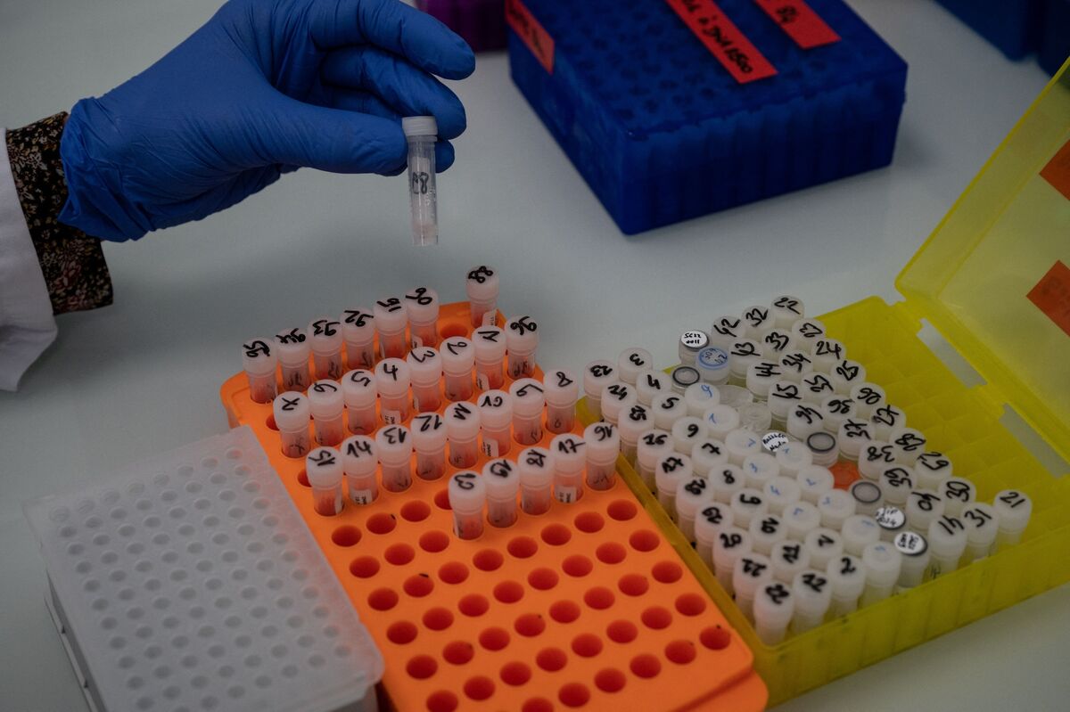 Bookmark Dna DNA Testing Could Save Your Life — If It's Available - Bloomberg