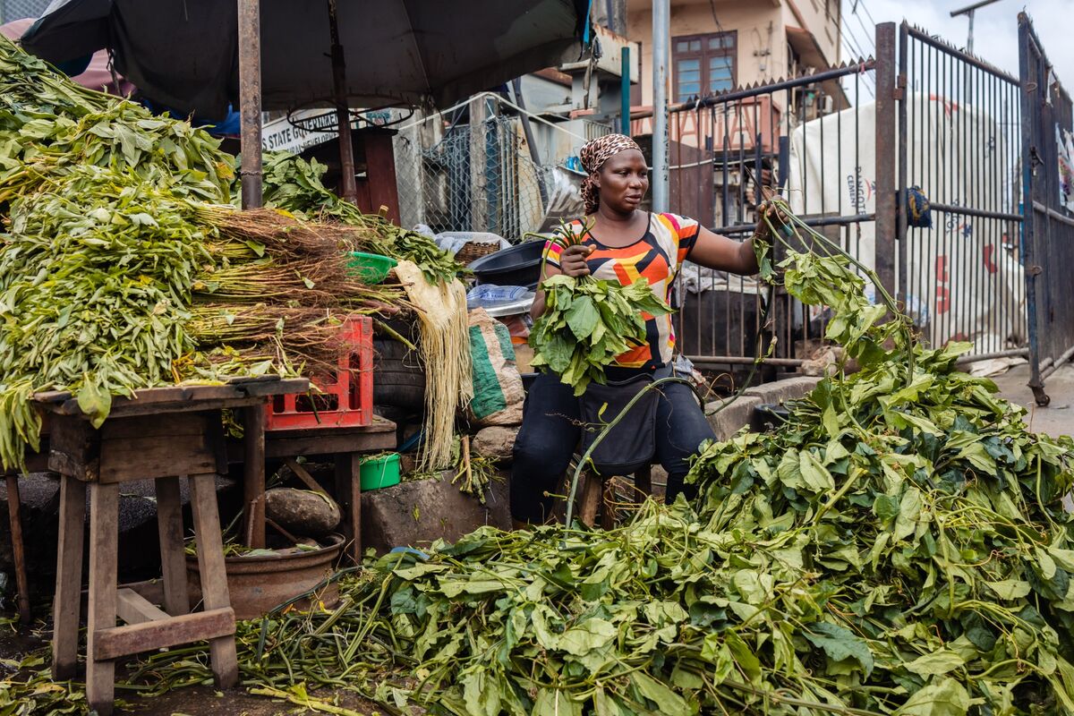 bloomberg.com - Antony Sguazzin - UAE Targets Africa Trade for Food Security, High Growth Rates