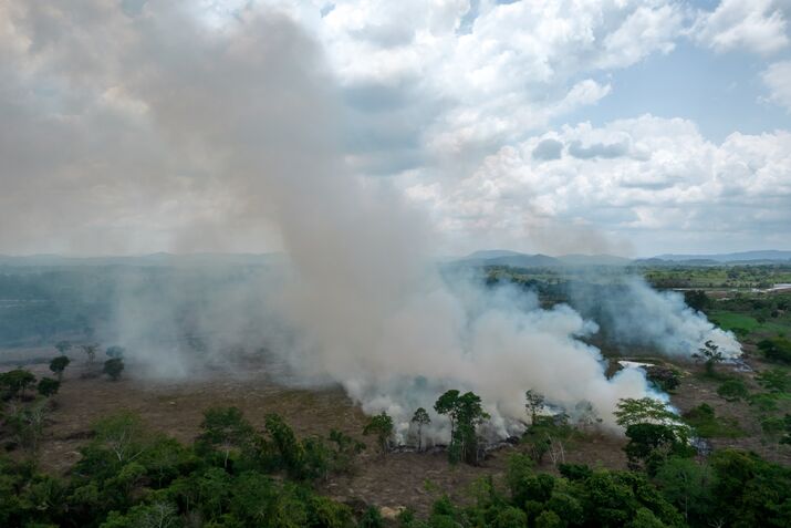 Amazon Rainforest Is Being Destroyed At Fastest Pace In 15 Years 