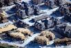 A Texas Land Rush Has Builders Too Busy