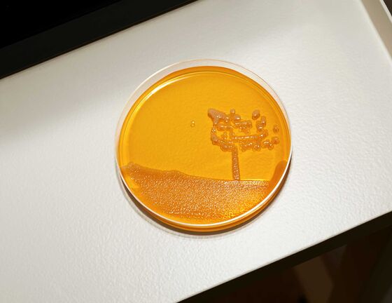 Germ-Killing Brands Now Want to Sell You Germs