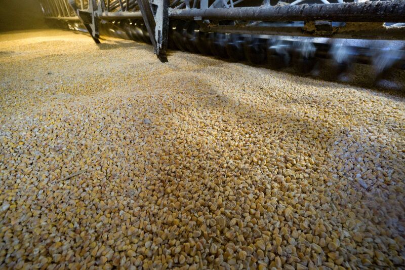 A corn grain silo at a grains terminal in Odessa, Ukraine.