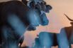 Global Food Companies Are Struggling to Deliver Methane Progress