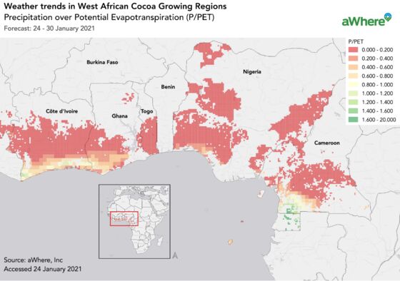 Ivorian Cocoa Farmers Bemoan Bean Sales Despite Good Weather