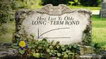 The End of the Long Bond Era