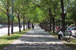 relates to Walkability Is Good for You