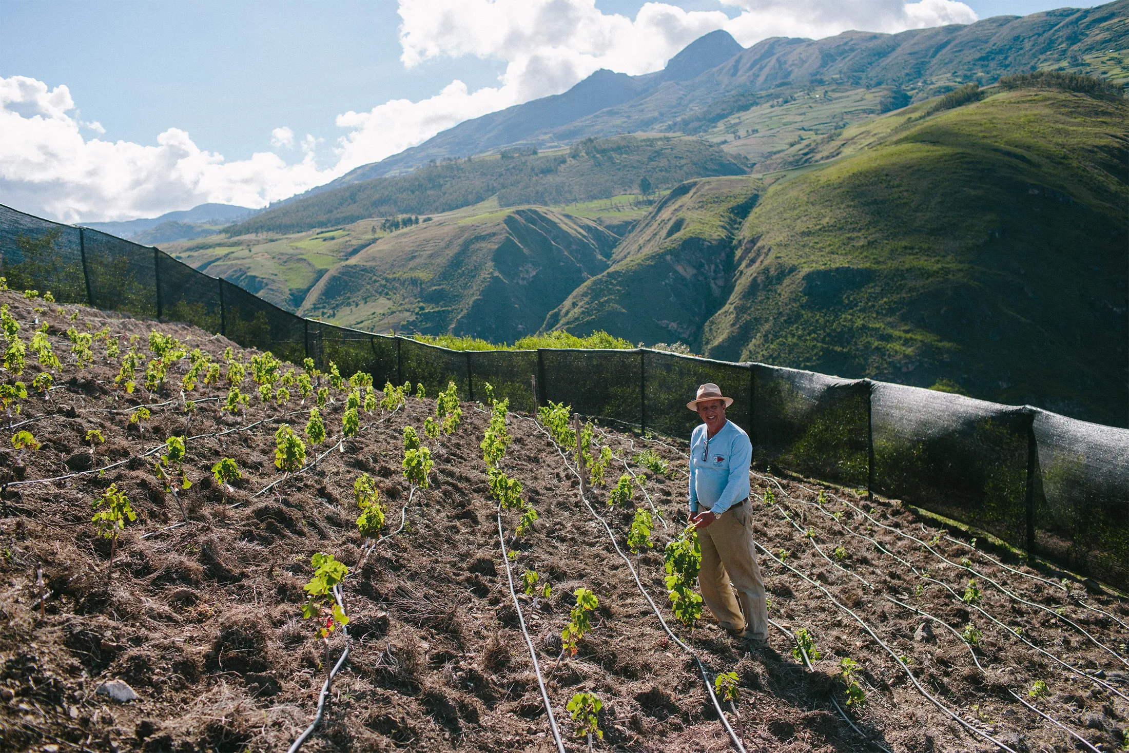 Los primeros intentos de Fernando Gonzales-Lattini de cultivar uvas a 2.850 metros sobre el nivel del mar se vieron frustrados por hongos.
