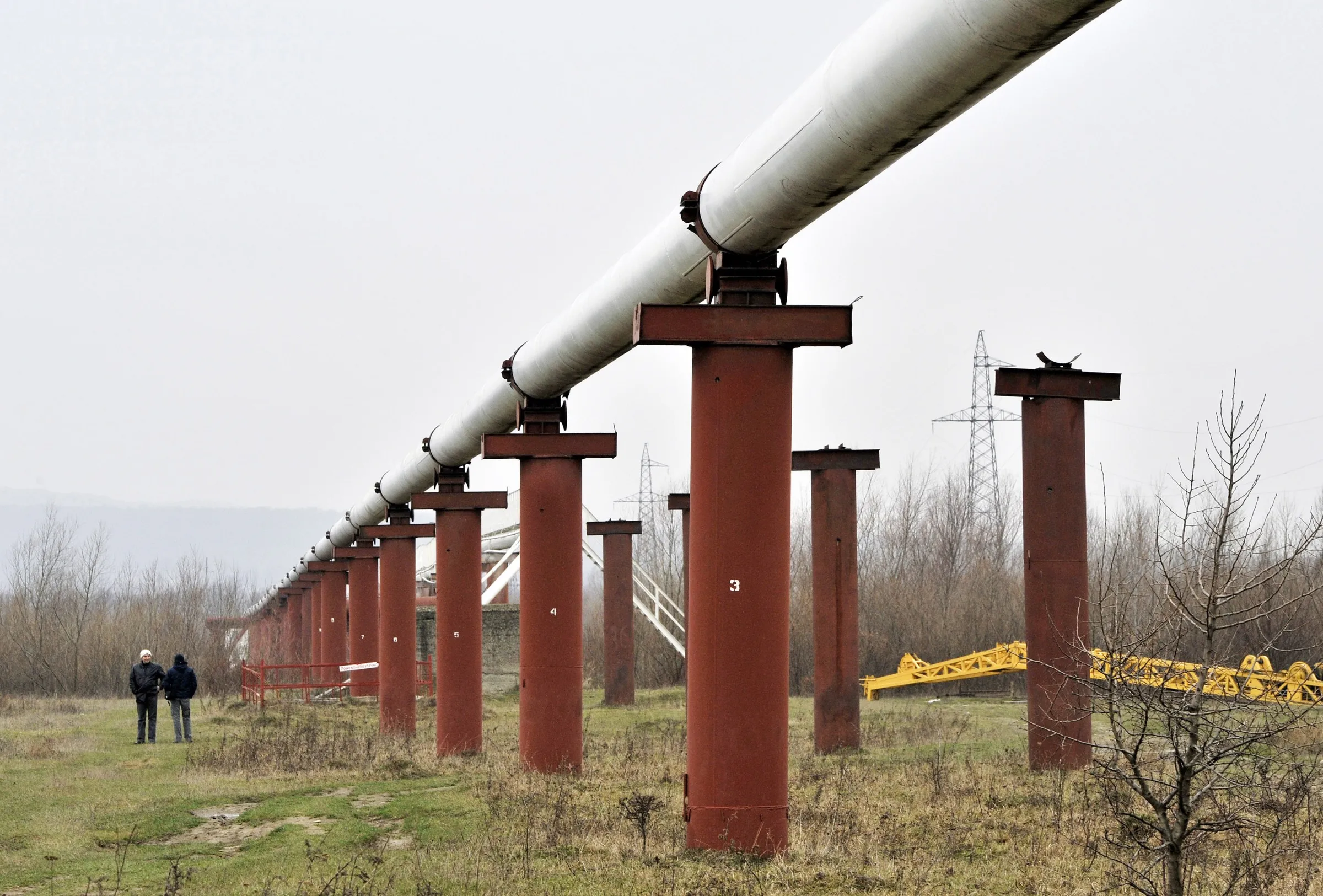 A section of the Druzhba crude oil pipeline in&nbsp;Ukraine.
