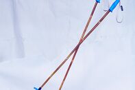 relates to Bamboo Is the Secret Sauce Behind Ski Poles That Won’t Break