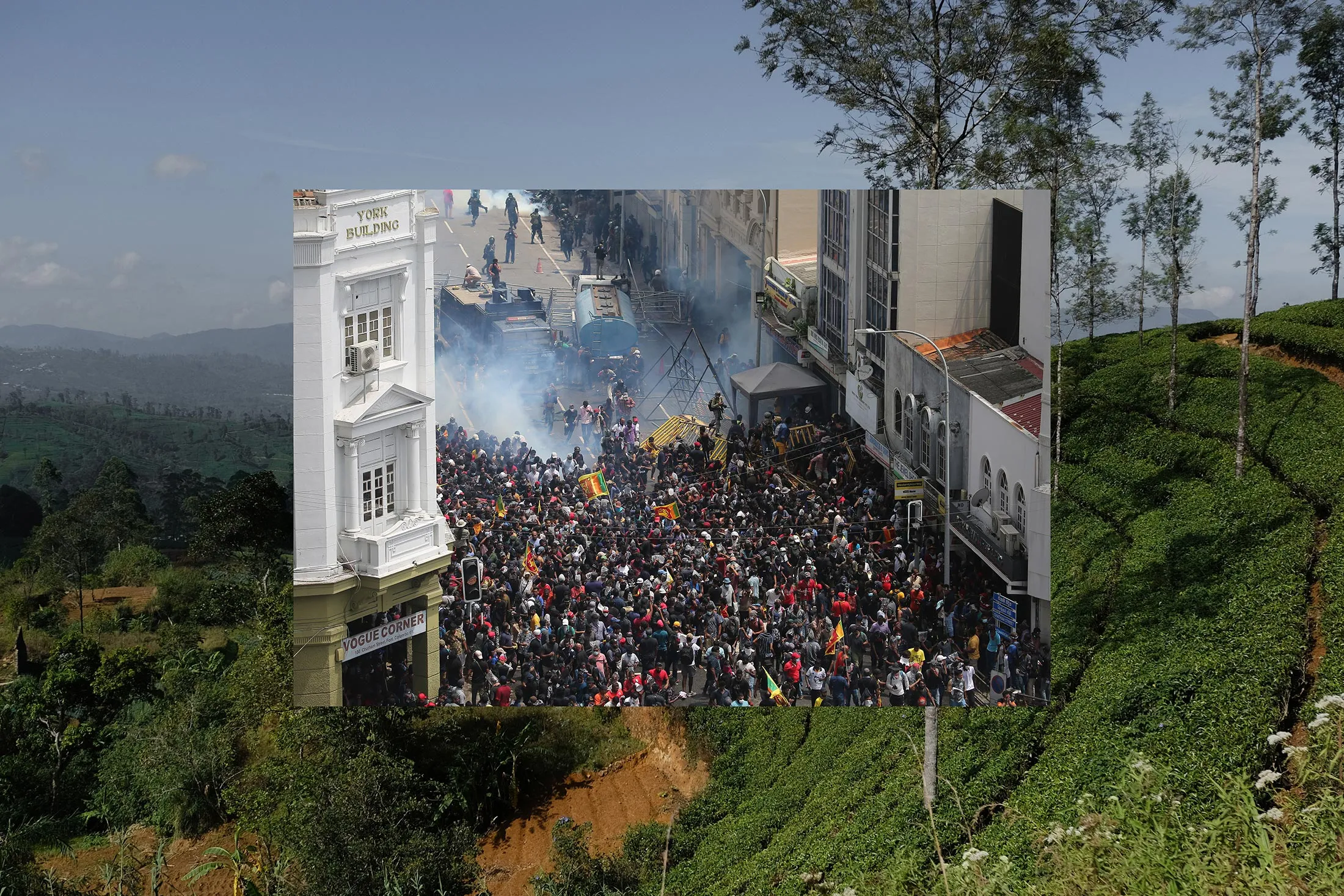 A plantation near Kandy. Inset: Police fire water and tear gas to disperse protests against President Gotabaya Rajapaksa in July.&nbsp;