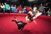 Cockfighting in Puerto Rico