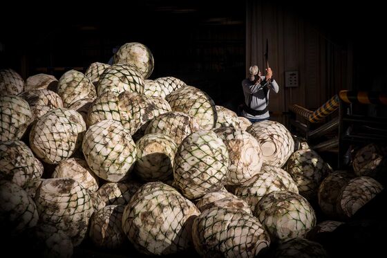 Patrón Made Tequila Top-Shelf. Will Bacardi Dilute It?