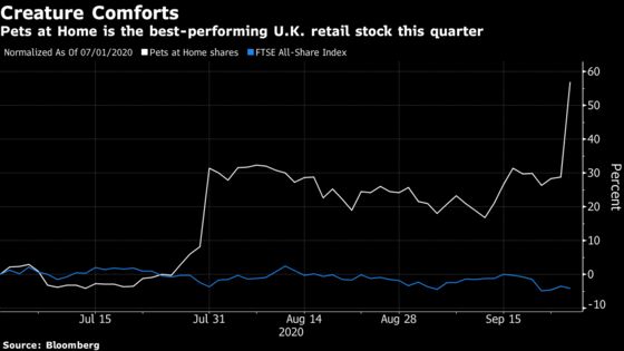 Lockdown Dogs Drive Britain’s Hottest Retail Stock