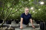Bruce Linton, Canopy Growth Corp.’s chief executive officer.